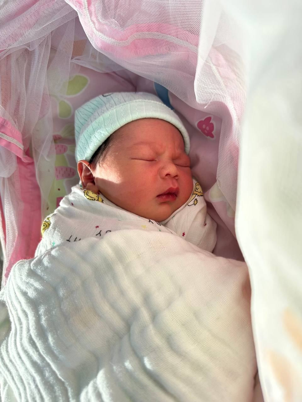 Newborn photo