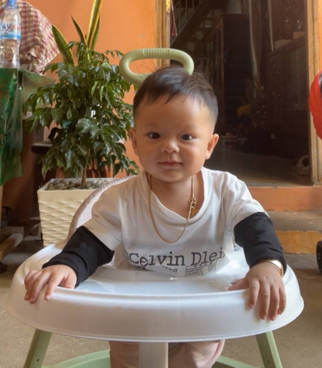 5 months old photo
